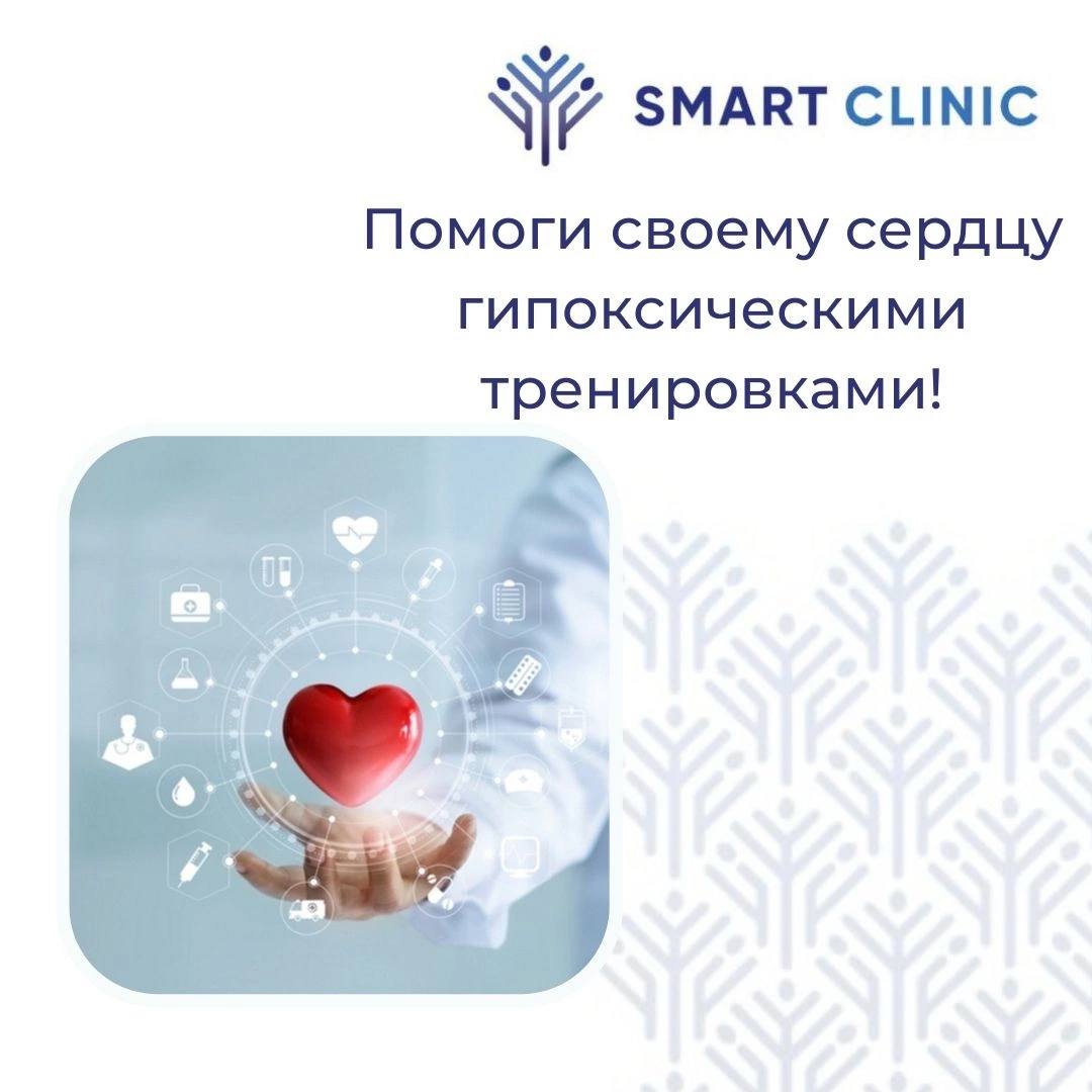Сердце – удивительный орган человеческого тела